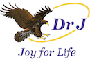 Dr J